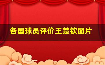 各国球员评价王楚钦图片