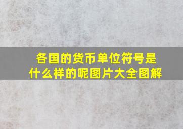 各国的货币单位符号是什么样的呢图片大全图解