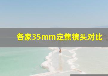 各家35mm定焦镜头对比