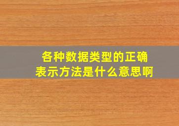 各种数据类型的正确表示方法是什么意思啊