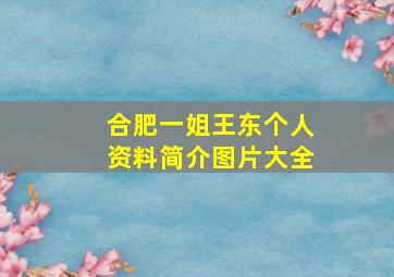 合肥一姐王东个人资料简介图片大全