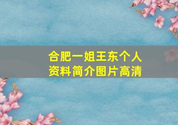 合肥一姐王东个人资料简介图片高清