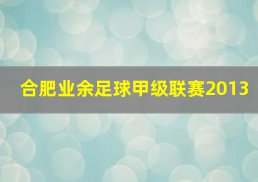 合肥业余足球甲级联赛2013