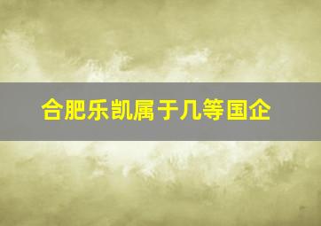 合肥乐凯属于几等国企