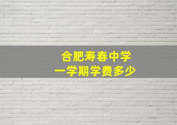 合肥寿春中学一学期学费多少