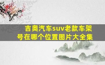 吉奥汽车suv老款车架号在哪个位置图片大全集