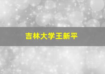 吉林大学王新平