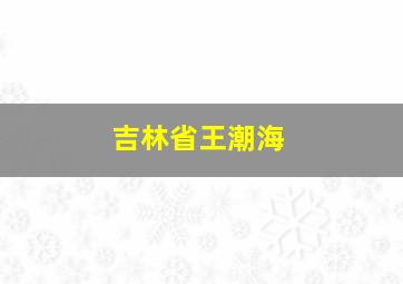 吉林省王潮海