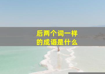 后两个词一样的成语是什么