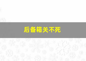 后备箱关不死