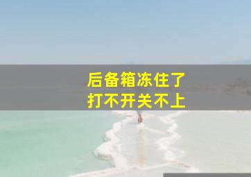 后备箱冻住了打不开关不上