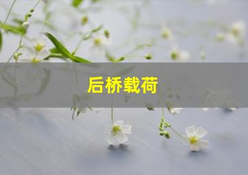 后桥载荷