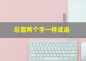 后面两个字一样成语