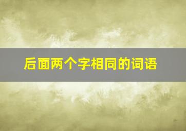 后面两个字相同的词语