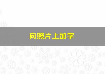 向照片上加字