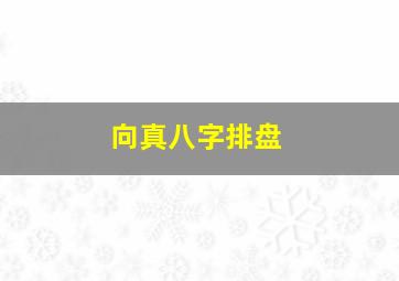 向真八字排盘