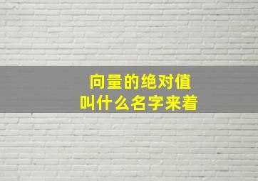 向量的绝对值叫什么名字来着