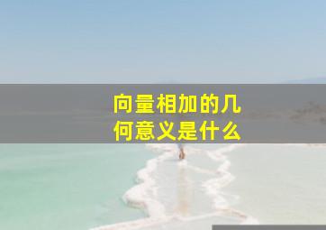 向量相加的几何意义是什么