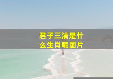 君子三清是什么生肖呢图片