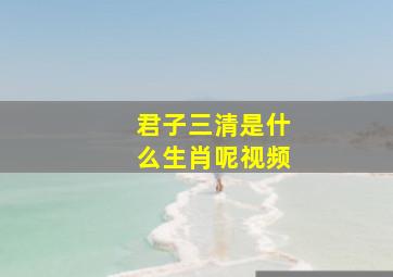 君子三清是什么生肖呢视频