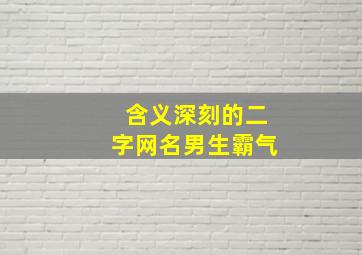 含义深刻的二字网名男生霸气