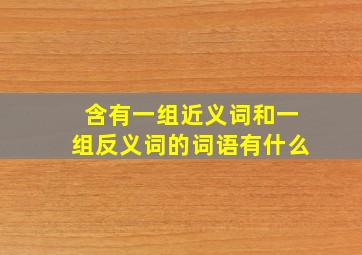 含有一组近义词和一组反义词的词语有什么