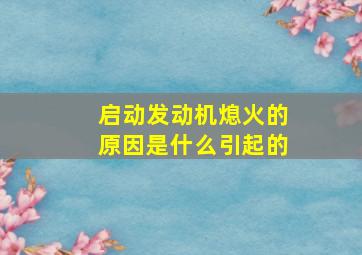 启动发动机熄火的原因是什么引起的