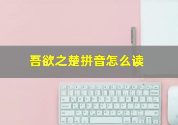 吾欲之楚拼音怎么读