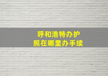 呼和浩特办护照在哪里办手续