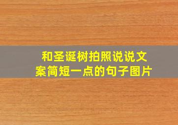 和圣诞树拍照说说文案简短一点的句子图片