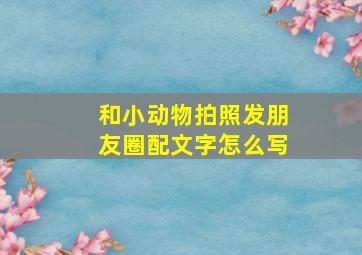 和小动物拍照发朋友圈配文字怎么写