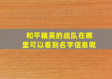 和平精英的战队在哪里可以看到名字信息呢