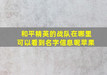 和平精英的战队在哪里可以看到名字信息呢苹果