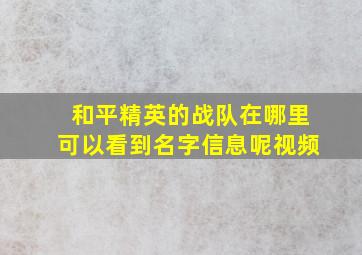 和平精英的战队在哪里可以看到名字信息呢视频