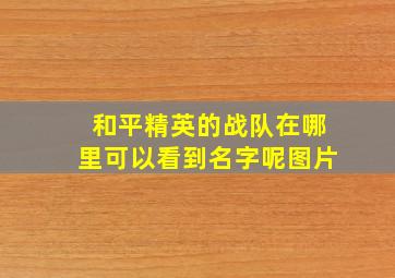 和平精英的战队在哪里可以看到名字呢图片