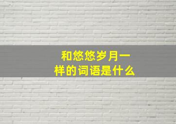 和悠悠岁月一样的词语是什么