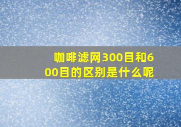 咖啡滤网300目和600目的区别是什么呢