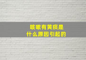 咳嗽有黄痰是什么原因引起的