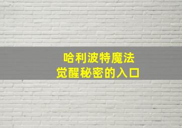 哈利波特魔法觉醒秘密的入口