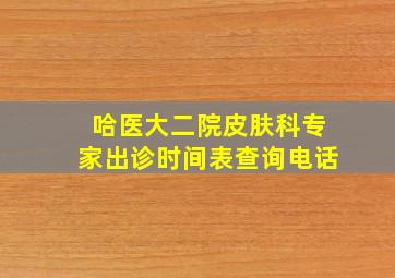 哈医大二院皮肤科专家出诊时间表查询电话