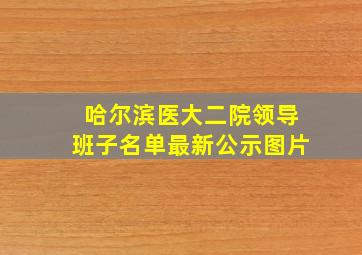 哈尔滨医大二院领导班子名单最新公示图片