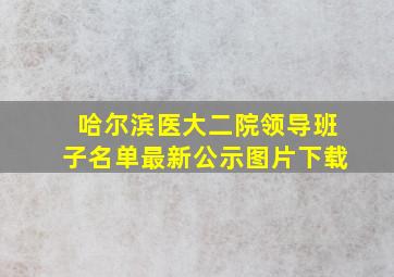 哈尔滨医大二院领导班子名单最新公示图片下载