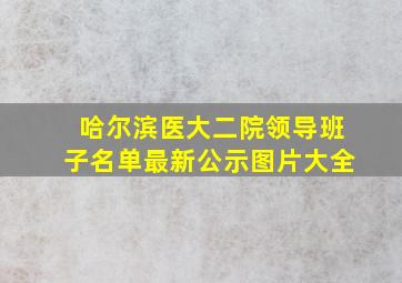 哈尔滨医大二院领导班子名单最新公示图片大全