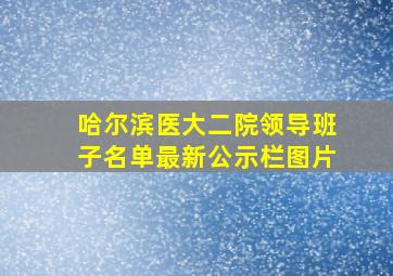 哈尔滨医大二院领导班子名单最新公示栏图片