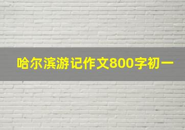 哈尔滨游记作文800字初一