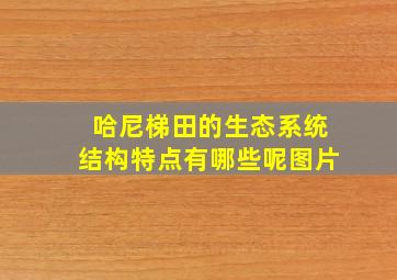 哈尼梯田的生态系统结构特点有哪些呢图片