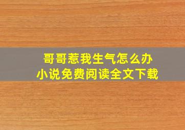 哥哥惹我生气怎么办小说免费阅读全文下载