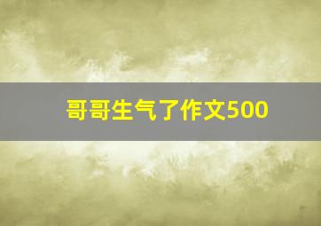 哥哥生气了作文500