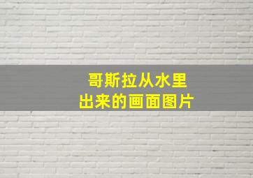 哥斯拉从水里出来的画面图片