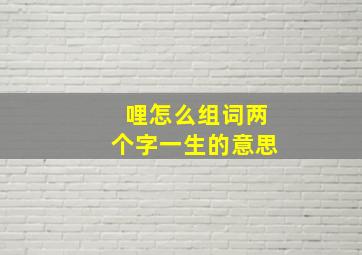 哩怎么组词两个字一生的意思